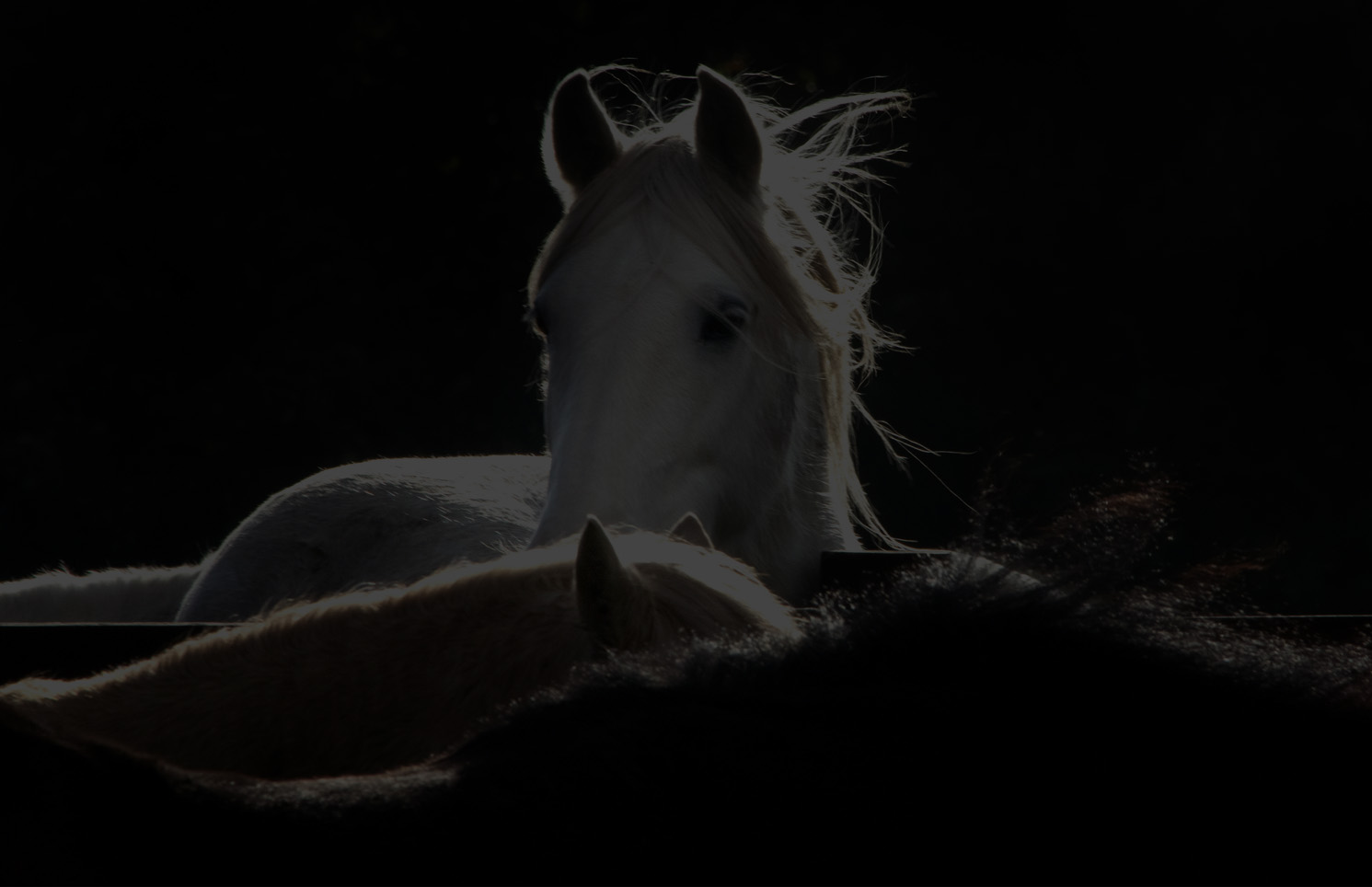 Hope Pastures