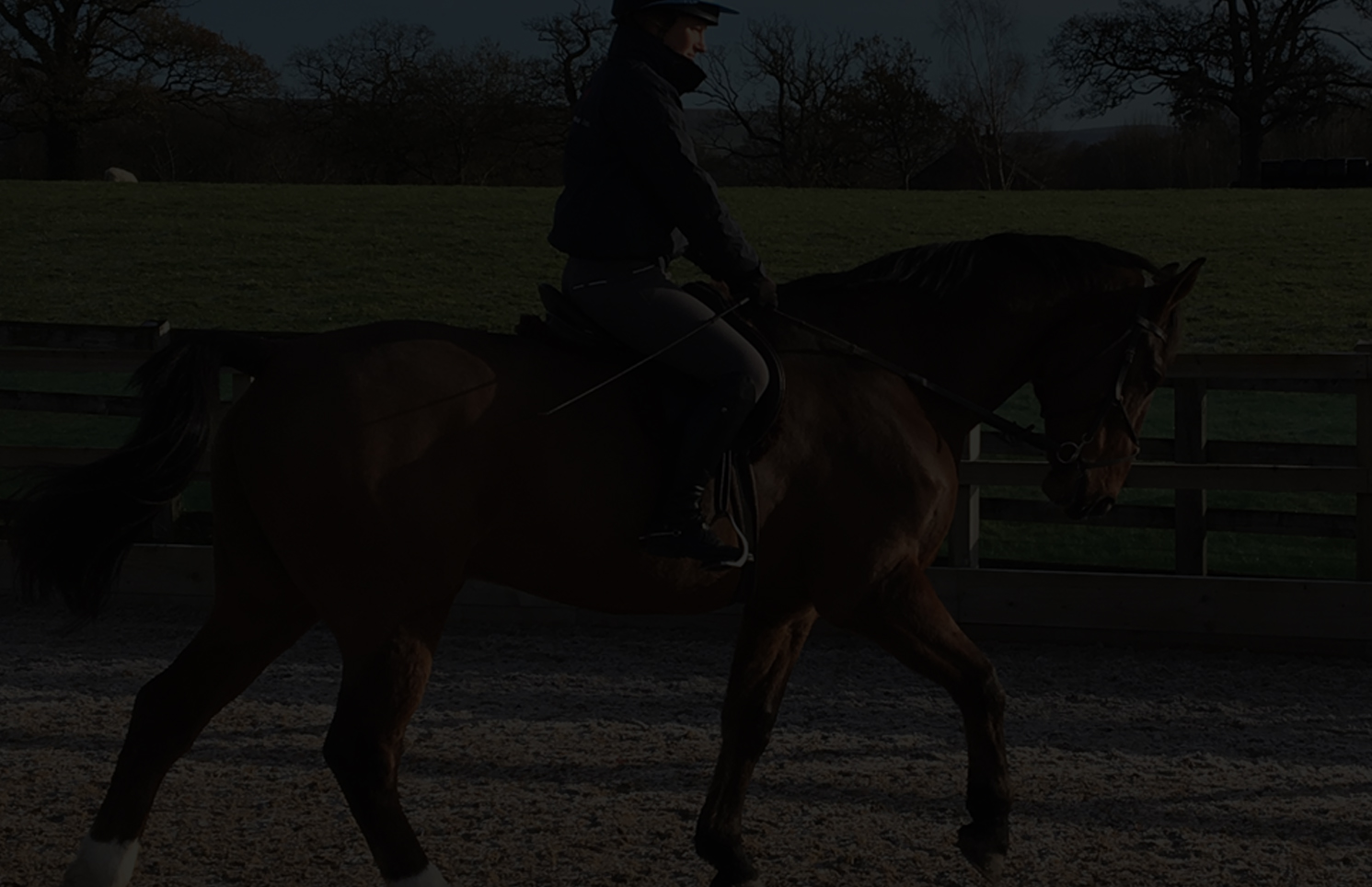 Northern Equestrian Services