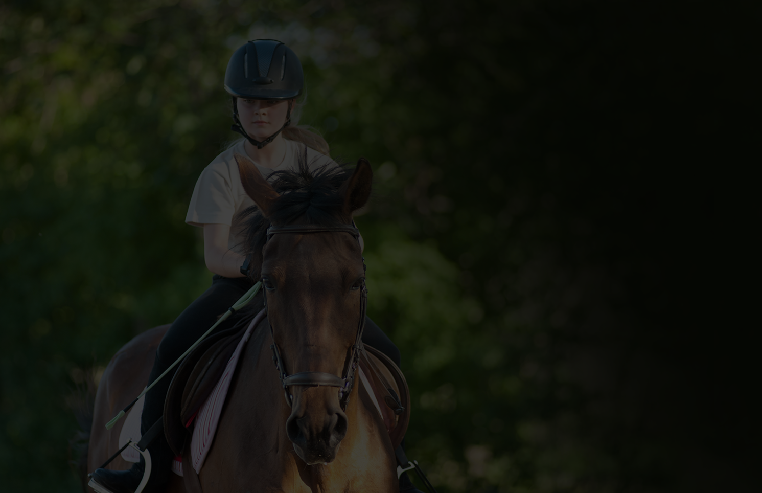 Riding School or Livery Yard Website Template